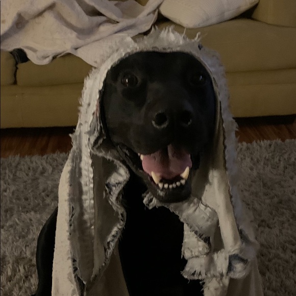 Meet your Posher, Mike - Picture 1 of 1